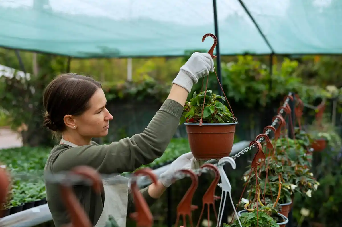 PET bottles in vegetable garden irrigation Czech