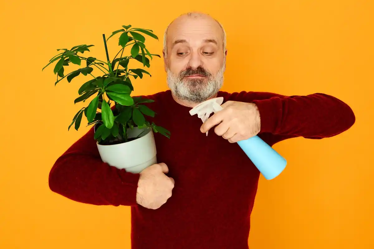 Citrónová kůra v květináči: jednoduchý trik proti mouchám a mšicím