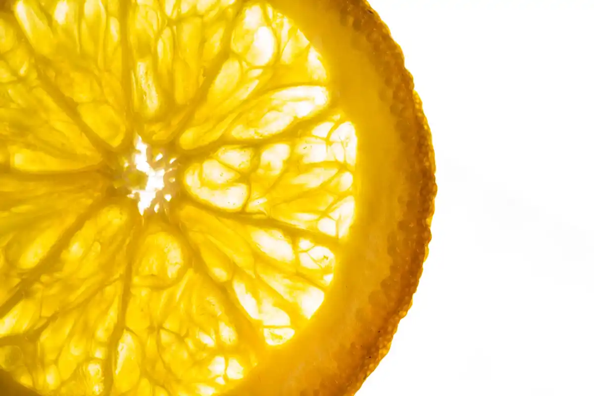 lemon peel in flower pot macro