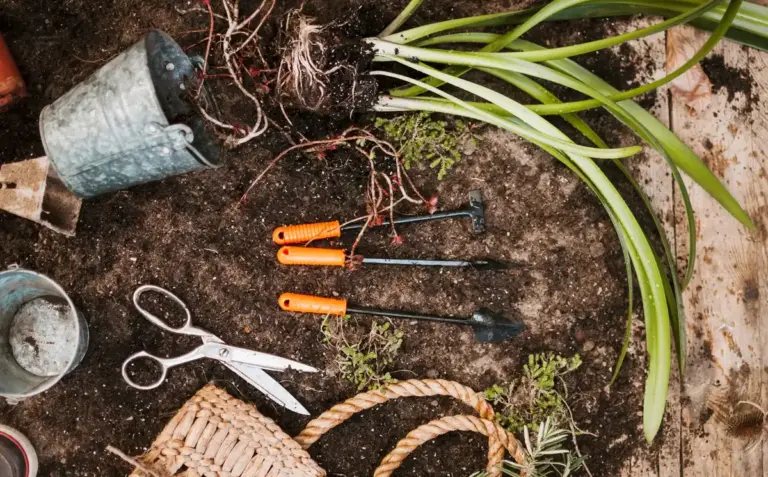 garden tool damage plants