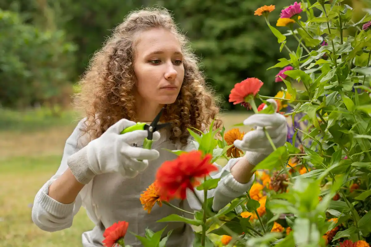 Czech natural eco friendly garden without chemicals