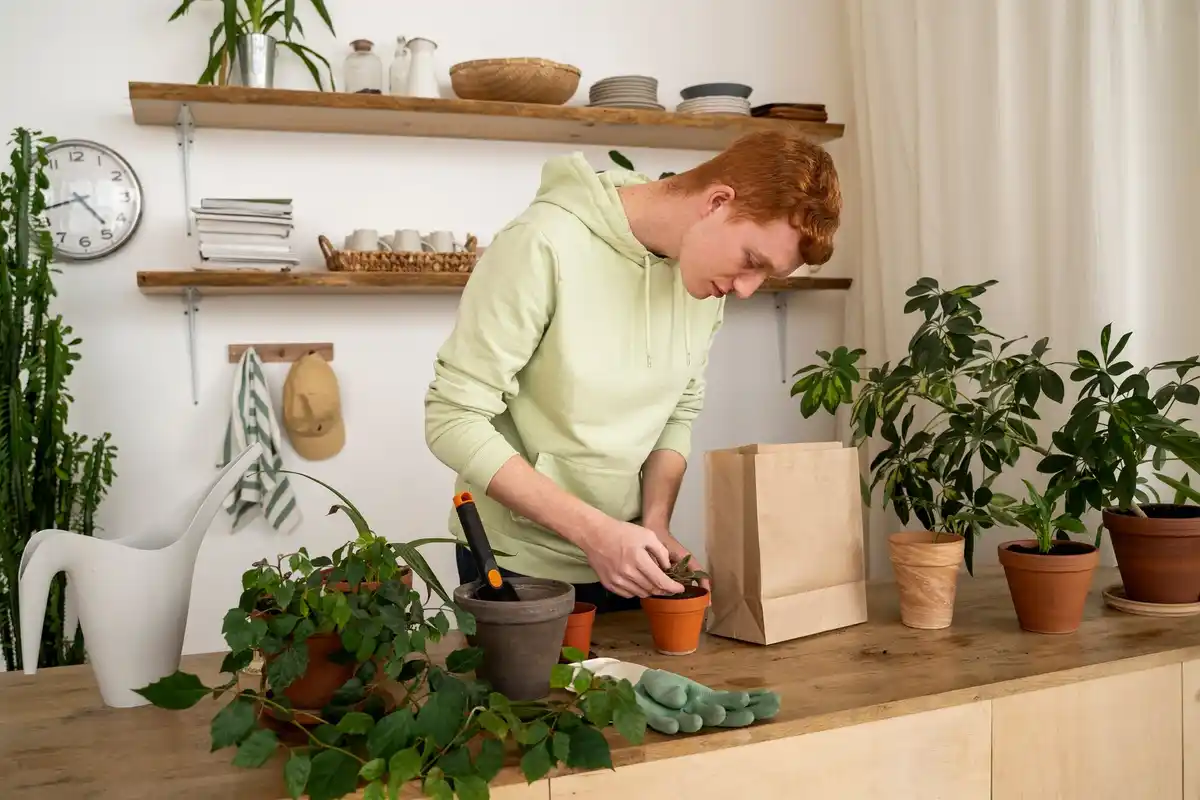 houseplants Czech kitchen homemade fertilizer water pouring