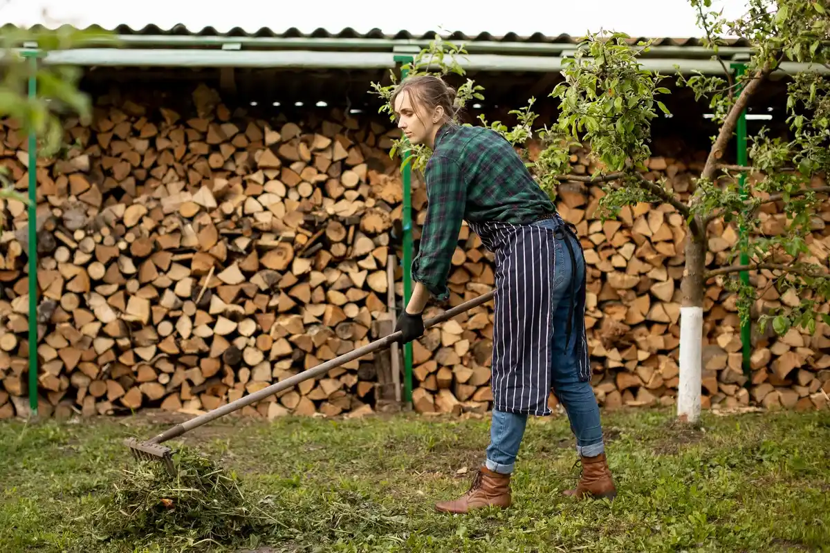 Staré babské rady vs moderní metody: co opravdu funguje na mrkev