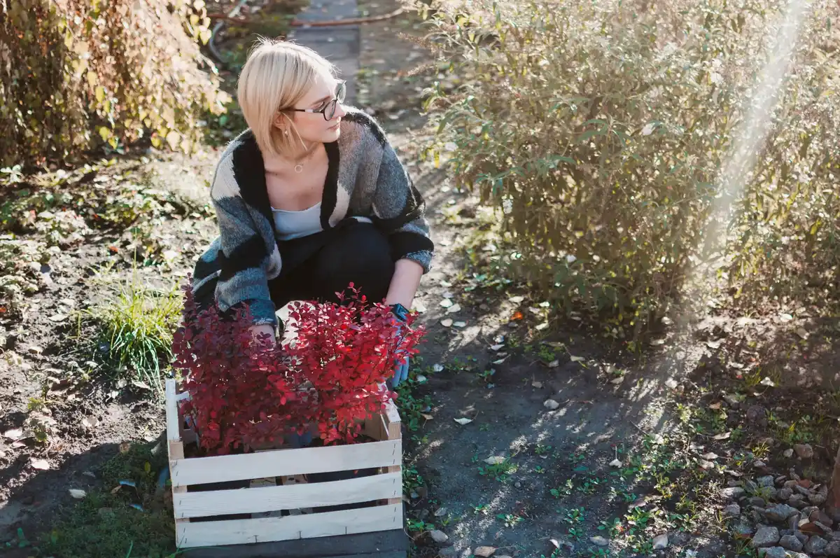 czech autumn vegetable garden preparation