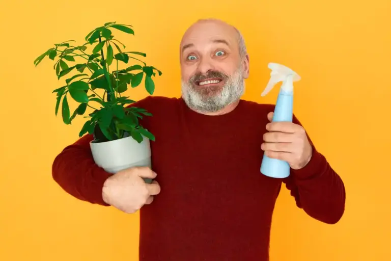 damaged plants after wrong time spraying