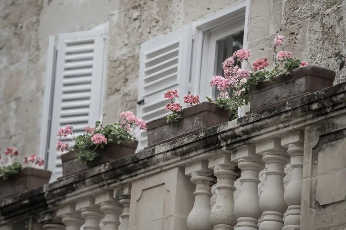 colorful surfinia varieties on Prague city balconies