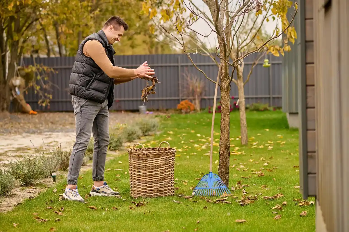 apple tree pruning tools in winter garden czech