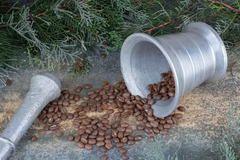 coffee grounds near tomato plant urban garden