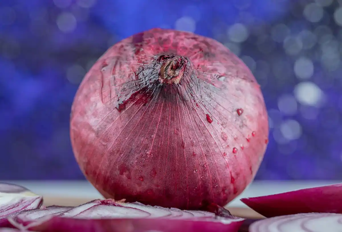 onion peel natural fungicide tomato