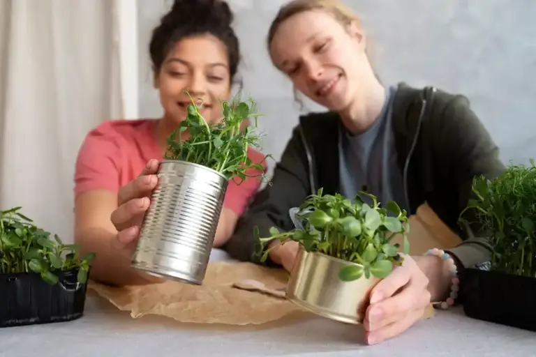 plastic bottle greenhouse diy indoor homemade seedling