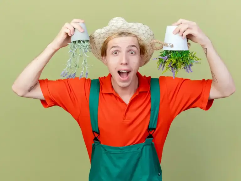 czech gardener spraying vegetables field tips mistakes