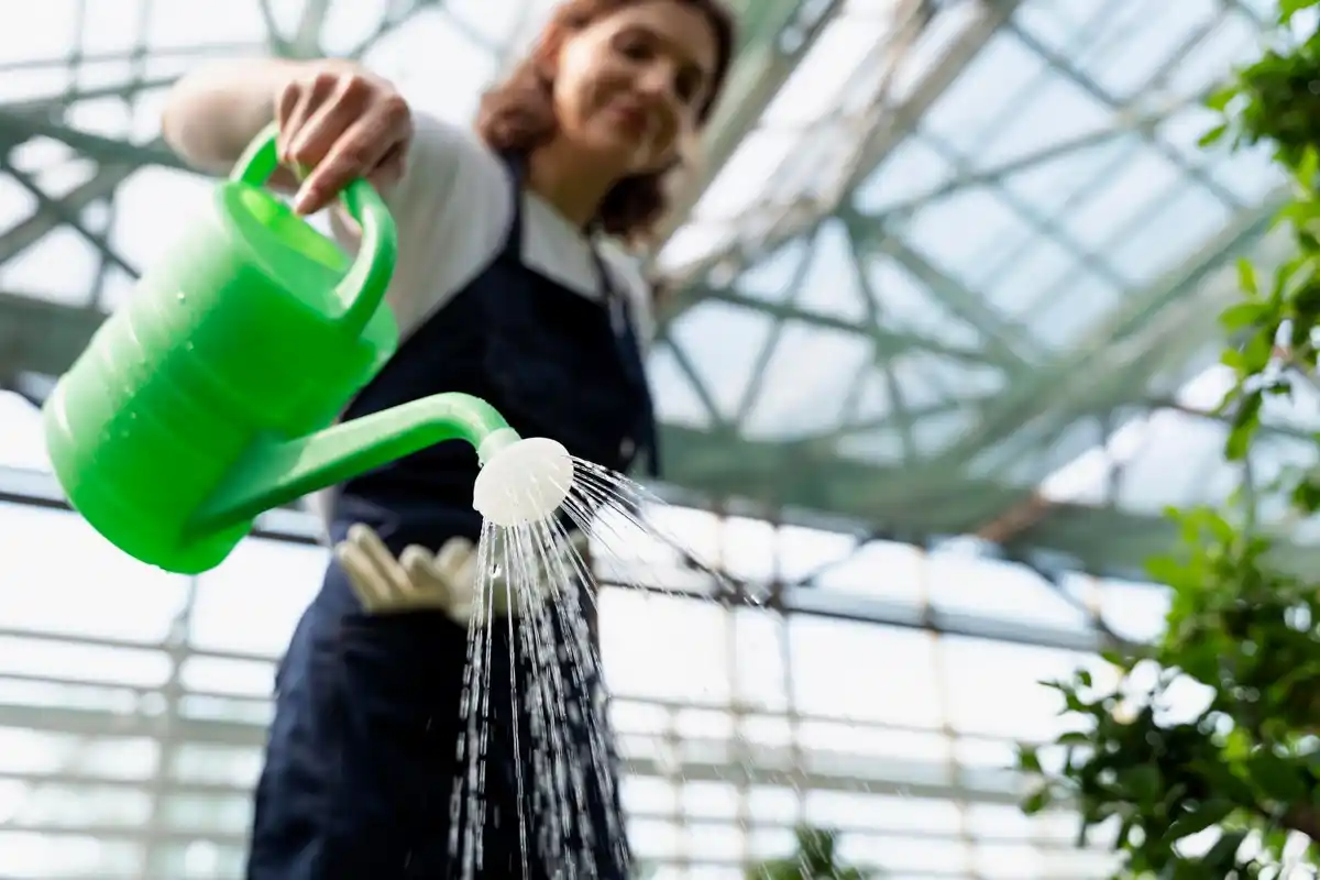 incorrect mixing garden pesticide liquid in czech greenhouse