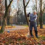 overfertilized fall garden czech