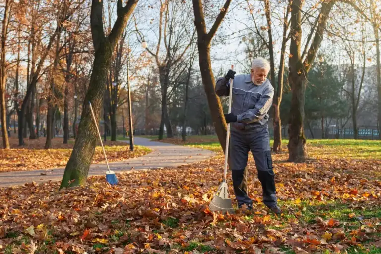 overfertilized fall garden czech
