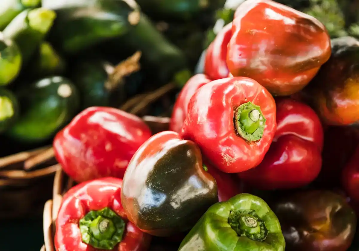 homegrown red bell peppers in czech garden closeup