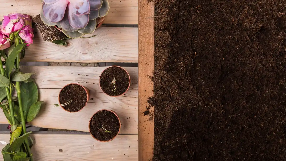 compost and natural soil enrichment spring garden