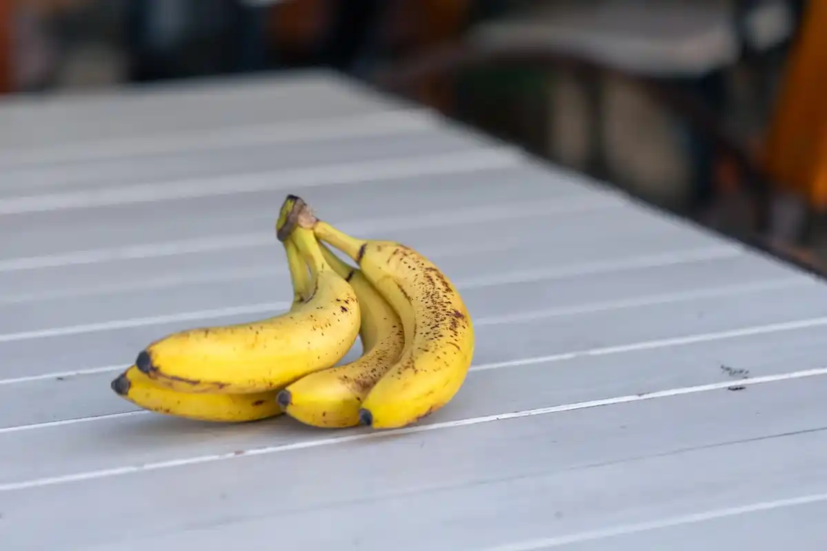 banana peel fertilizer home garden Czech style