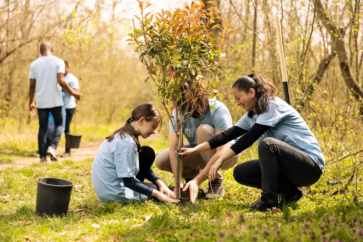 Czech family planting apricot tree autumn
