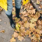 overfertilized garden vegetables dead leaves