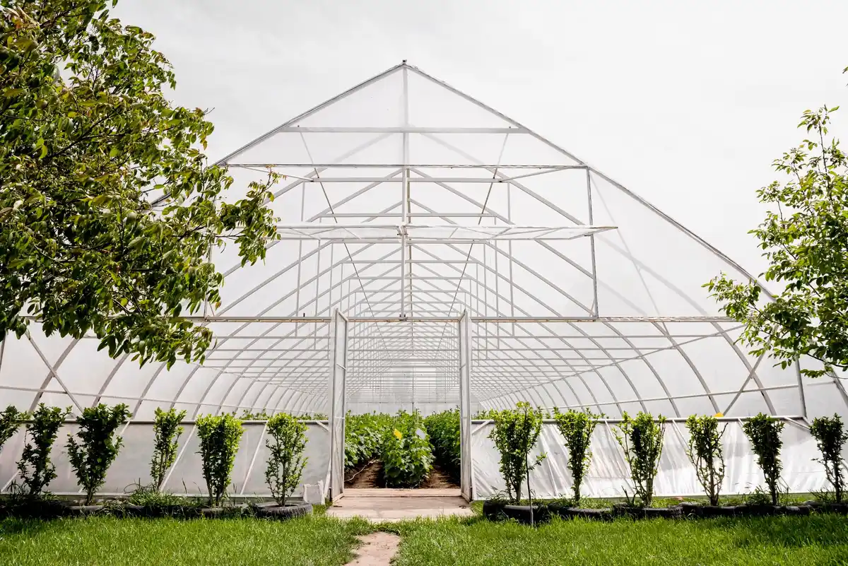 diy plastic bottle greenhouse for seedlings on czech outdoor garden bed