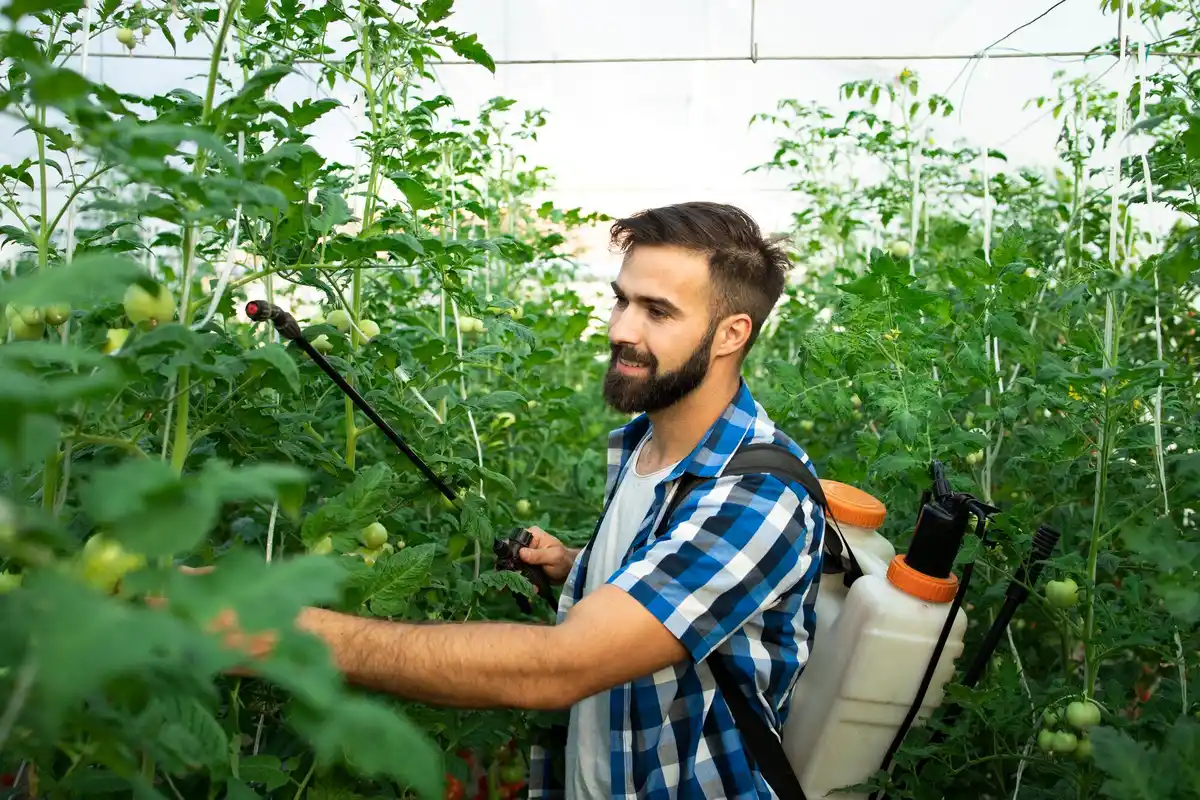 organic natural pest control in Czech garden