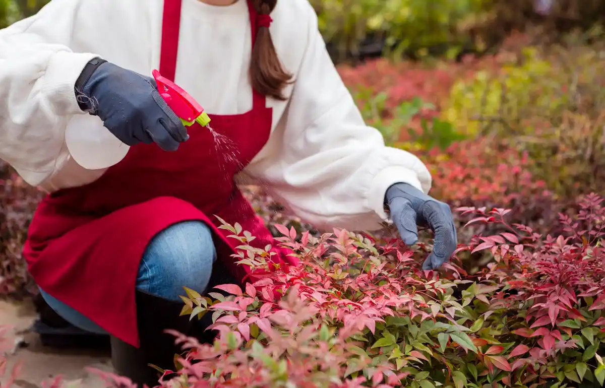 czech gardener overfertilizing home garden