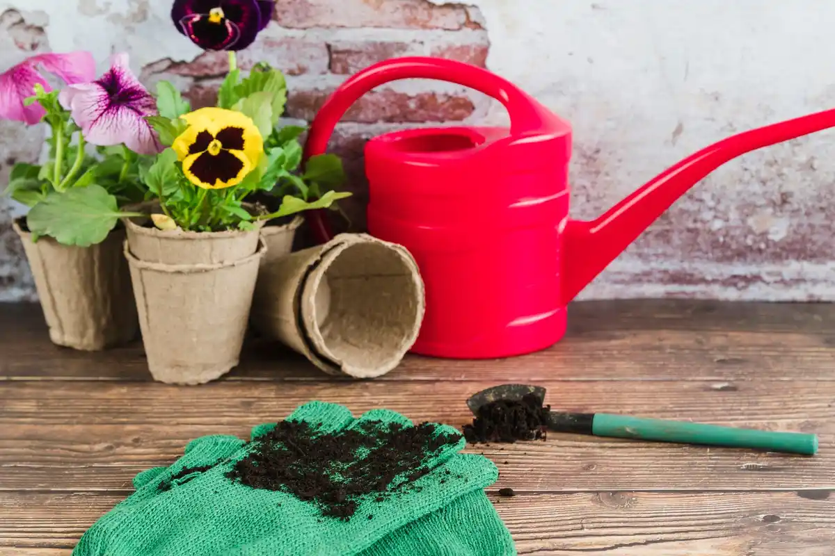 composting in czech home garden spring