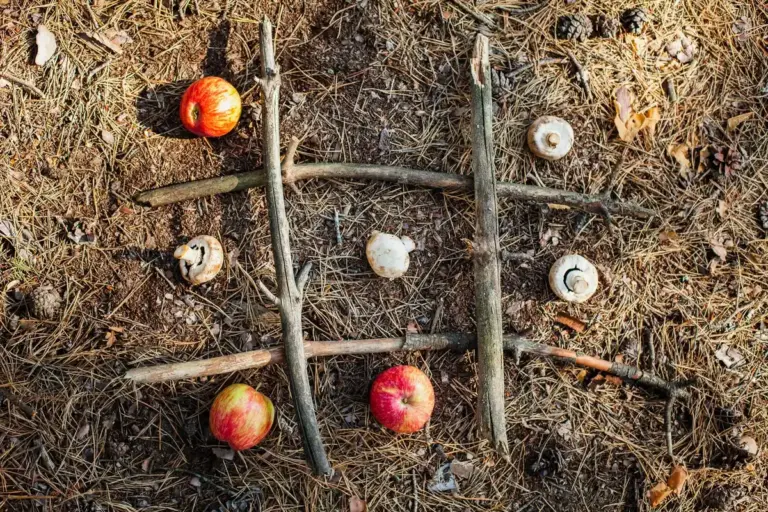 garden pest barrier natural eggshells sawdust closeup
