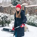 winter rose bush garden protection mulching snow