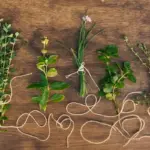 homemade plant remedy czech vintage style