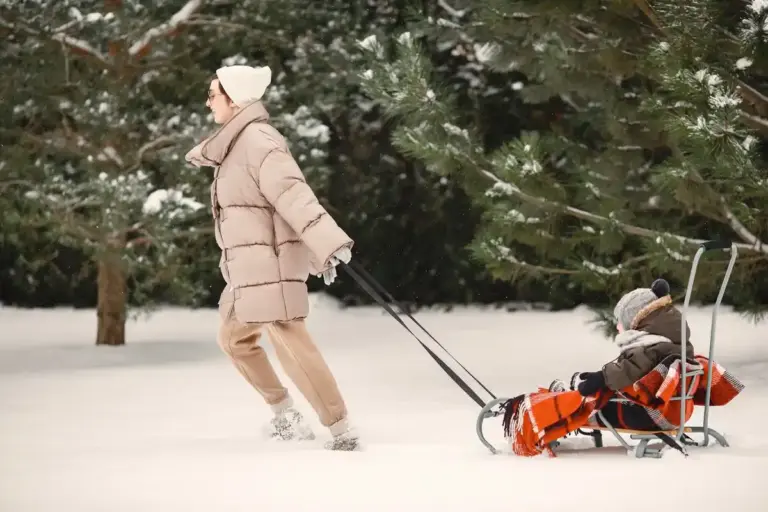 Czech garden lawn mower winter snow backyard