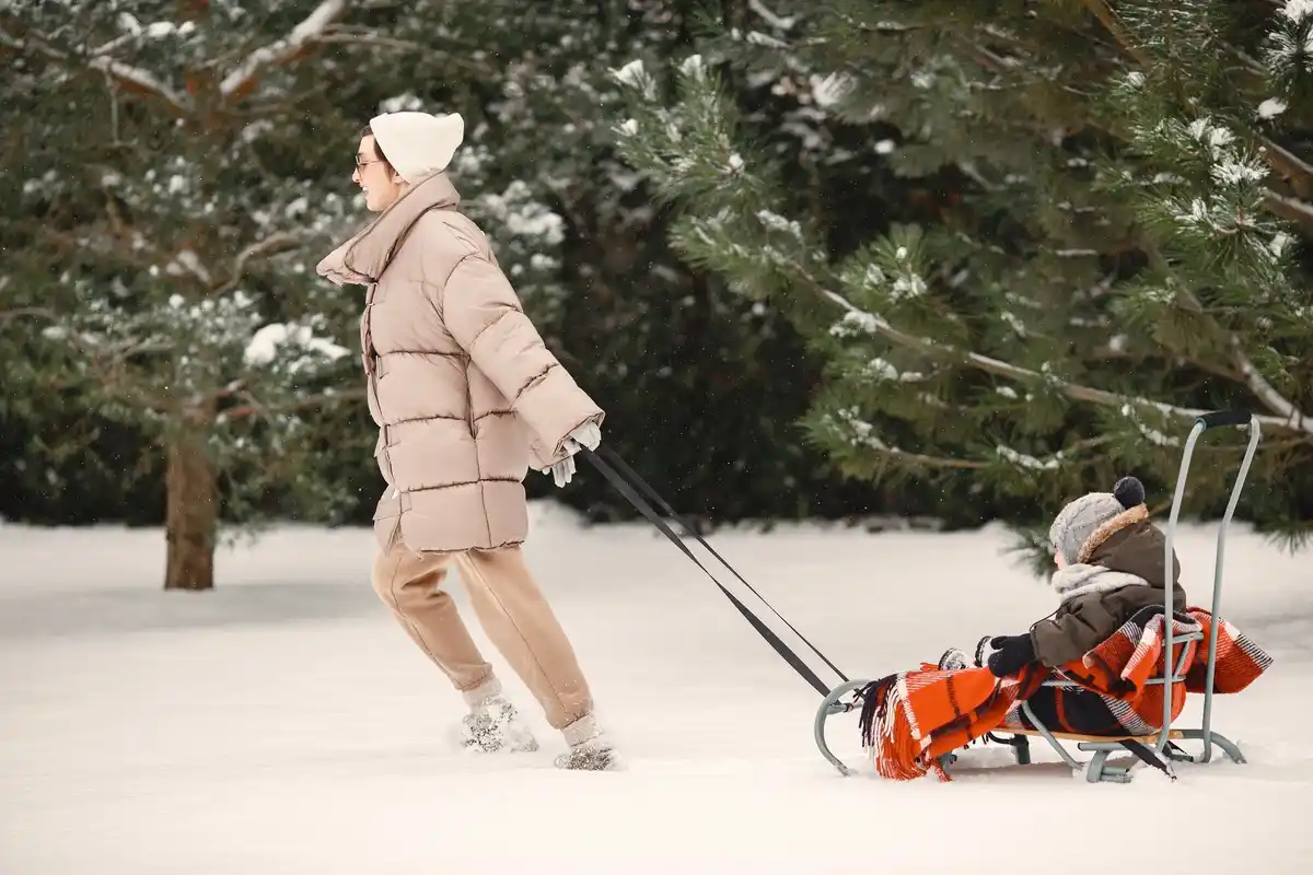 Czech garden lawn mower winter snow backyard