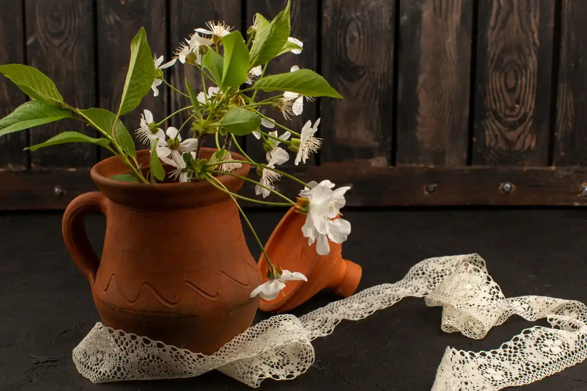 vintage houseplants with eggshells on windowsill