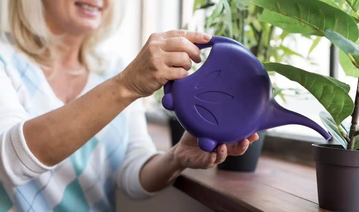 czech grandmother watering indoor plants in cozy apartment