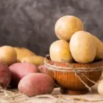 old varieties potatoes czech rustic farm