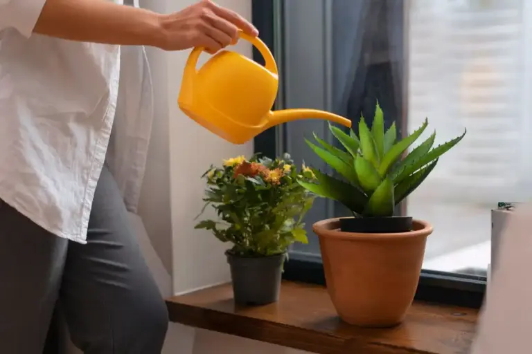 wilting houseplant self watering hack window