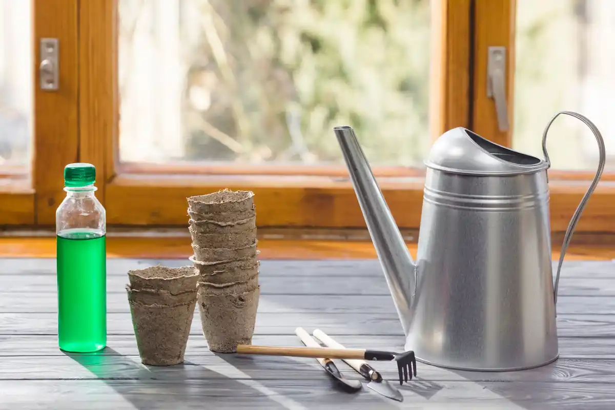 homemade self watering plant bottle trick