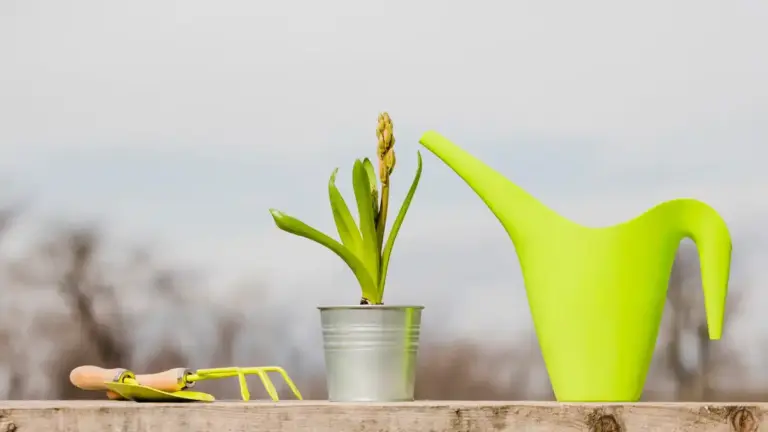 watering can upcycling ideas garden