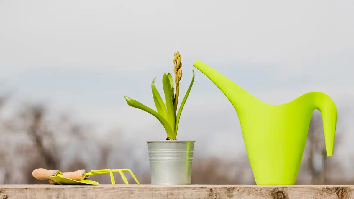watering can upcycling ideas garden