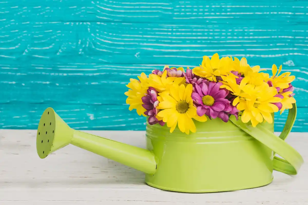watering can repurpose diy ideas