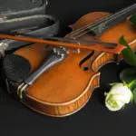 antique violin and green houseplant together window light