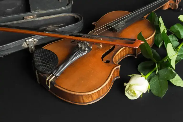 antique violin and green houseplant together window light