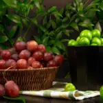 plum seed supermarket home garden