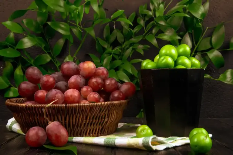 plum seed supermarket home garden
