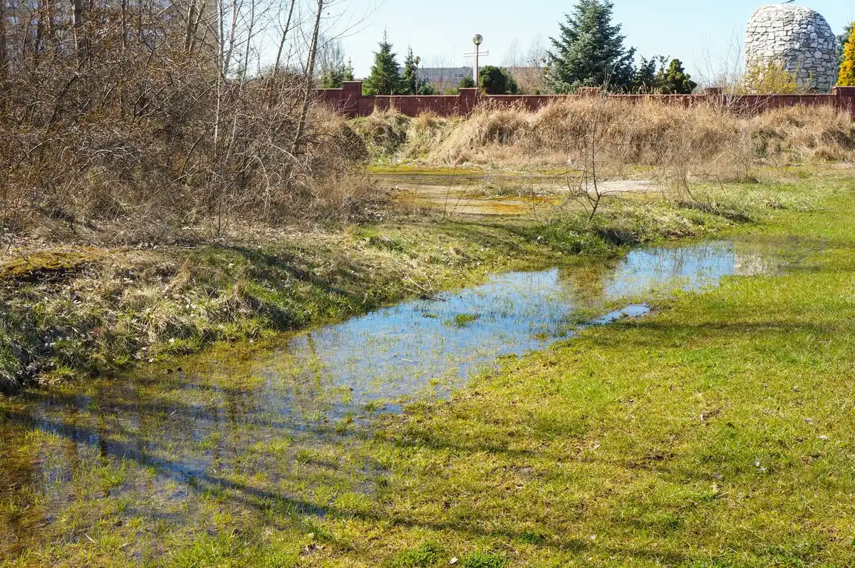 damaged farmland with chemical fertilizers