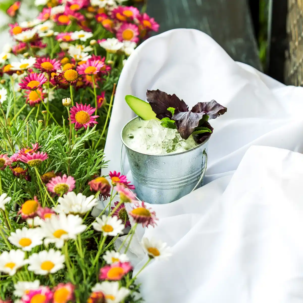 coffee waste as natural fertilizer flowers czech garden