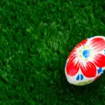 egg shell natural fertilizer closeup czech garden