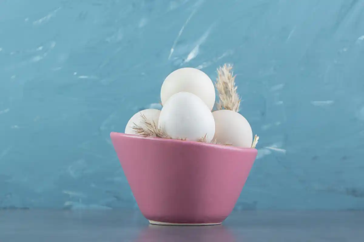 egg shells for plants czech kitchen table
