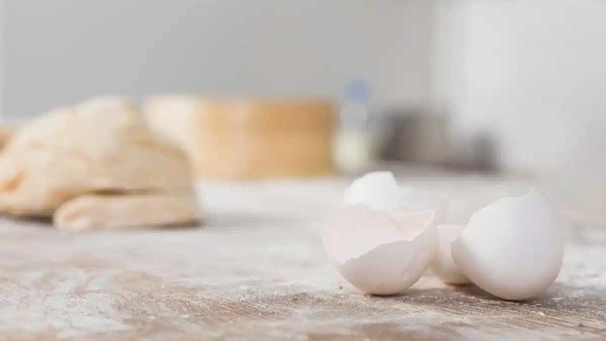 broken egg shells on garden soil