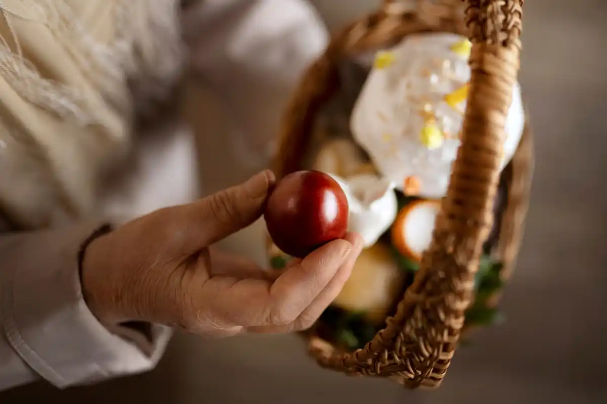 eggshells being sprinkled around tomato plants
